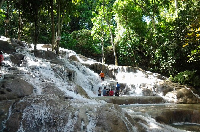 Blue Hole, Dunn's River Falls Luminous Lagoon Excursion From Montego Bay - Stop 3, Luminous Lagoon at sunset: bioluminescence plus a Martha Brae River experience