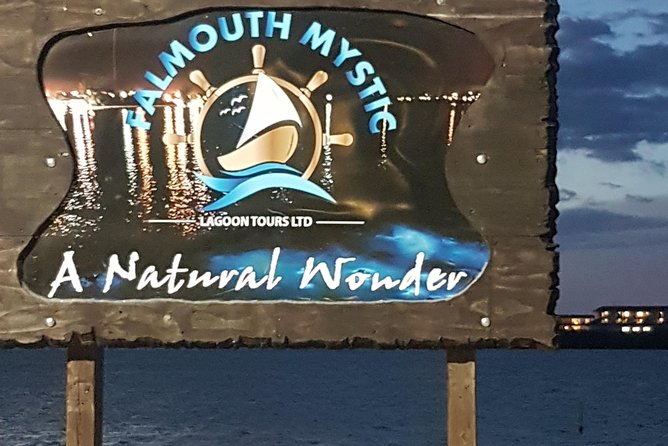 Blue Hole, Dunn's River Falls Luminous Lagoon Excursion From Montego Bay - Value check: what $210.33 buys you when admissions and transport are included