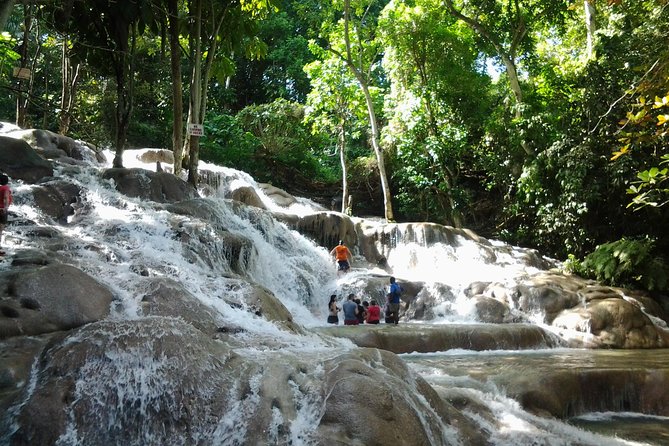 Blue Hole, Dunn's River Falls Luminous Lagoon Excursion From Montego Bay - Stop 1, Dunn’s River Falls: the iconic waterfall with a natural stone terrace