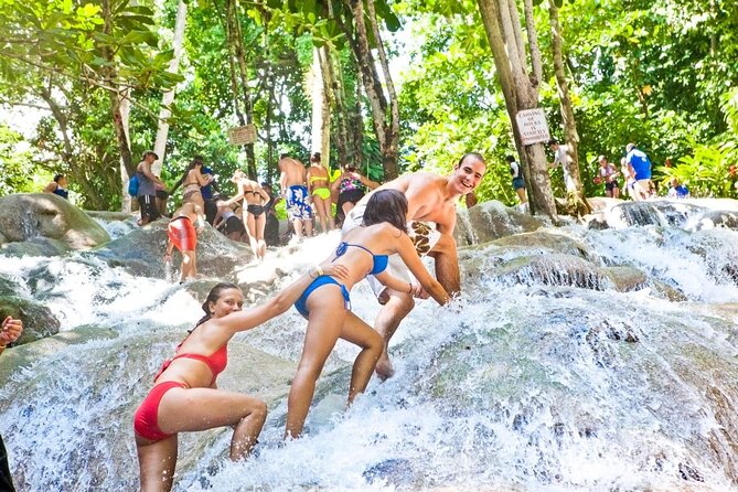 Blue Hole/ Dunn's River Falls & Luminous Lagoon (Glistening water) 3 in 1 combo - Stop 3: Glistening Waters Lagoon Boat Ride and the Glowing Water