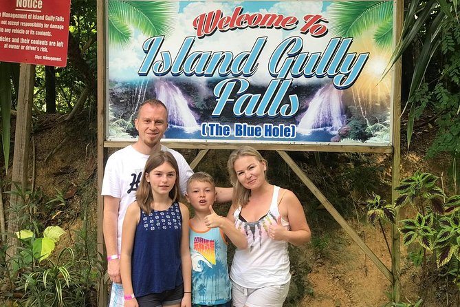Blue Hole & Jamaica Sightseen Tour Included Transportation - Pickup, minivan rides, and fitting this into Montego Bay or Falmouth