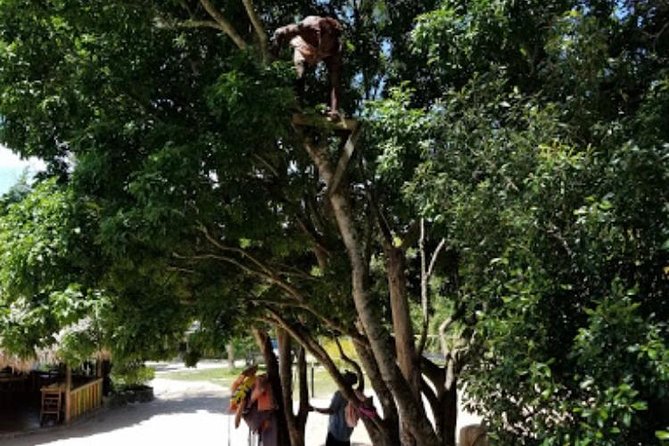 Blue Hole Mineral Spring and Ricks Cafe Private Tour - What to bring: water shoes, towels, and a quick change plan