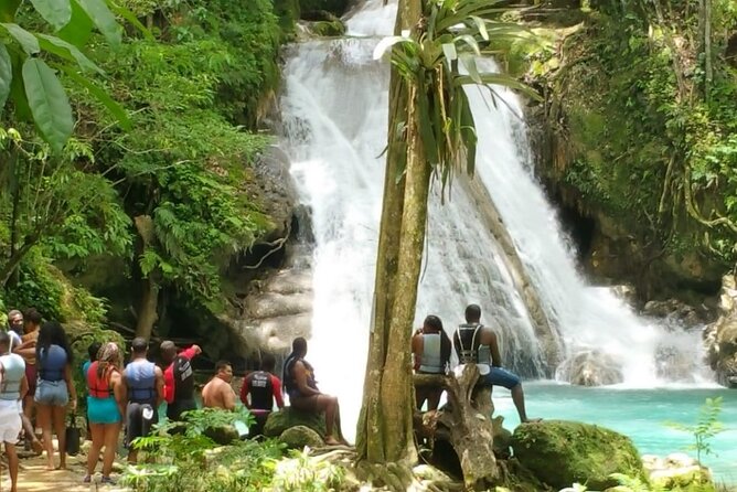 Blue Hole/Secert falls and Dunns River Combo Tour - Blue Hole Park with a Certified Lifeguard Guide