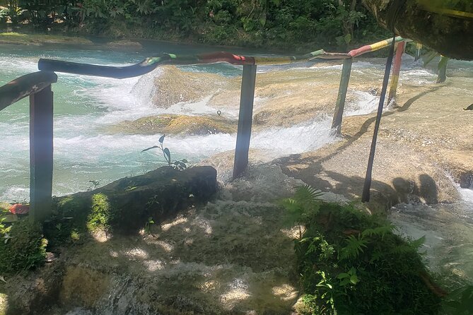 Blue Hole & Secret Waterfalls Tour from Falmouth Cruise Ships - Your guide and driver: the human details that make this tour work