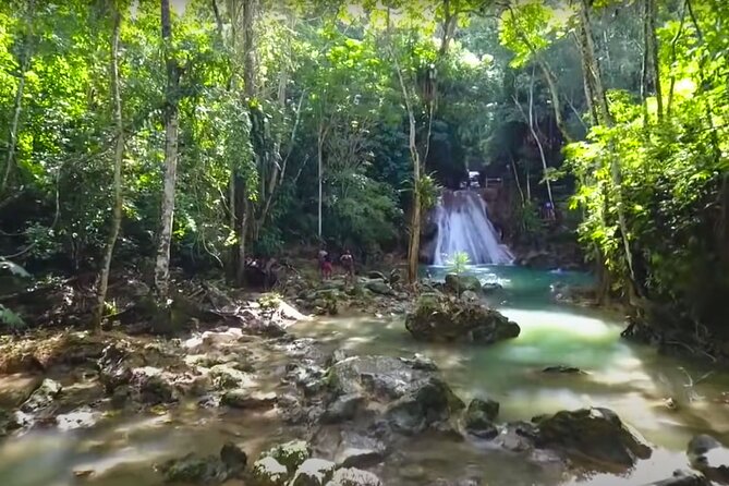 Blue Hole Waterfalls and Rasta Garden from Montego Bay - Calby’s Hidden Beauty River, culture you can see and talk about