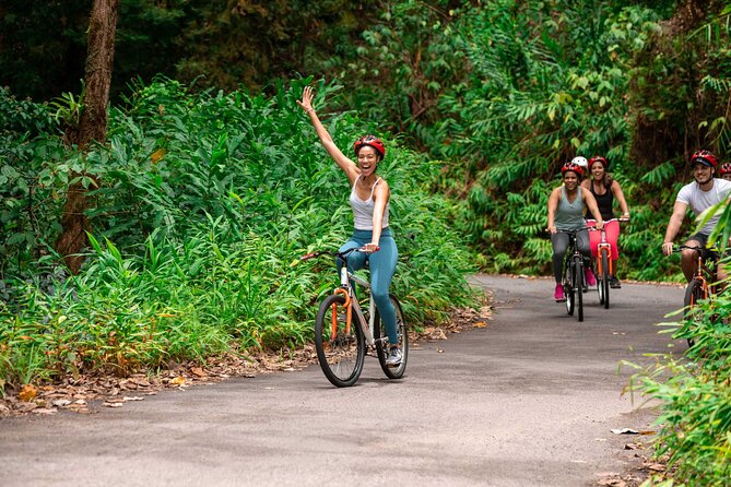 Blue Mountain Bicycle Tour - Key takeaways before you book