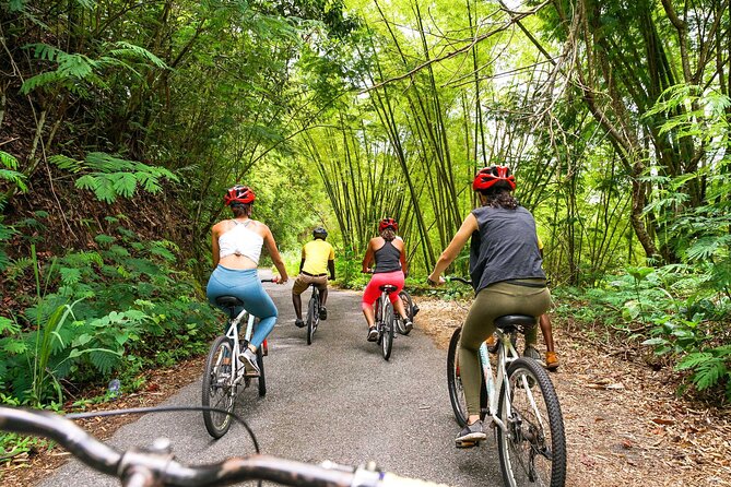 Blue Mountain Bicycle Tour - From Ocho Rios to the Blue Mountains, one long day with real variety