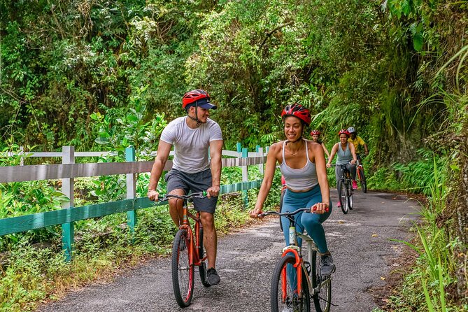 Blue Mountain Bicycle Tour - Wildlife and orchid spotting: the Blue Mountains beyond the view