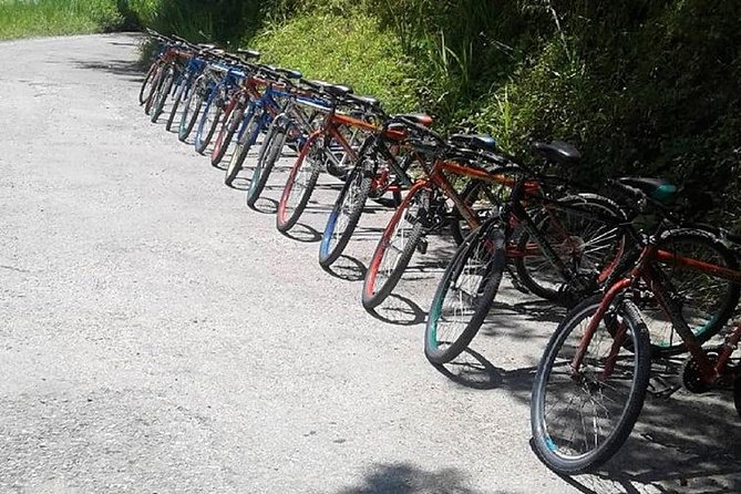 Blue Mountain Bicycle Tour from Montego Bay - Equipment, group size, and how the day stays organized
