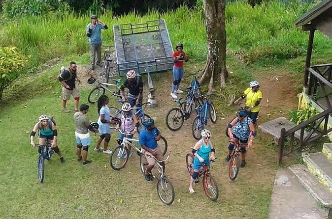 Blue Mountain Bicycle Tour from Montego Bay - Who this tour fits best, and who should think twice
