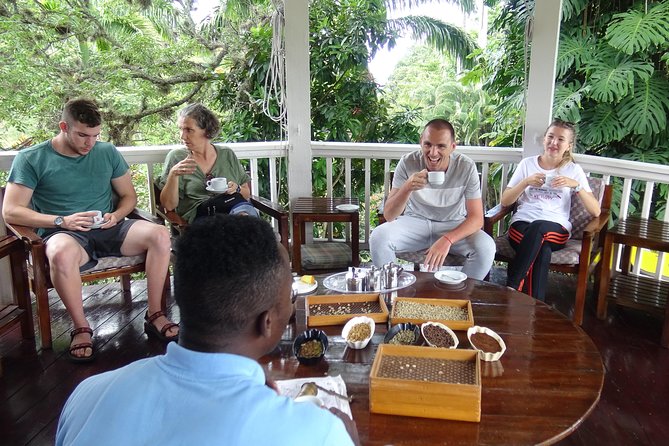 Blue Mountain Coffee and Sightseeing Tour - Price and value: what $325 buys you