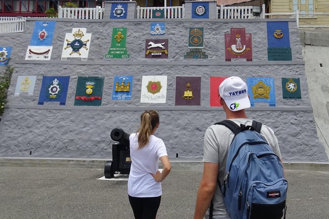Blue Mountain Coffee and Sightseeing Tour - Stop 2: Newcastle JDF Camp viewpoint, a quick Kingston panorama