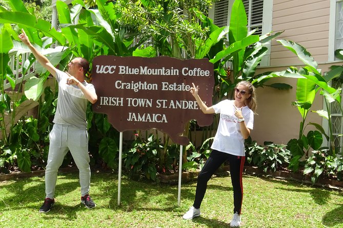 Blue Mountain Coffee and Sightseeing Tour - Lunch and local treats: what’s included, and what to watch