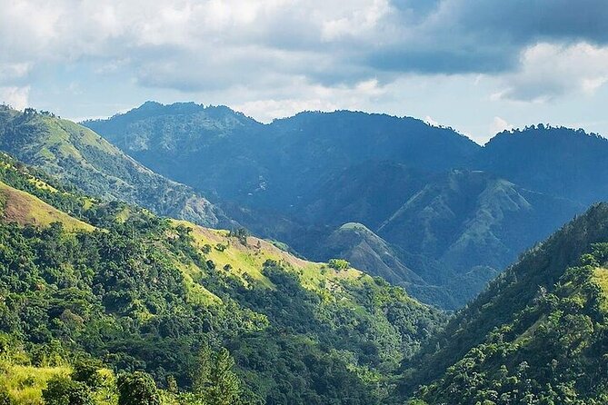 Blue Mountain Coffee, Bob Marley and Art Tour from Montego Bay - Strawberry Hill View Stop That Can Cost Extra