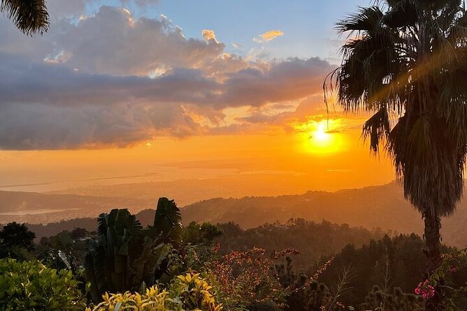 Blue Mountain Coffee, Bob Marley and Art Tour from Montego Bay - Price and Value: Is $315 Actually Fair for This Much Included?