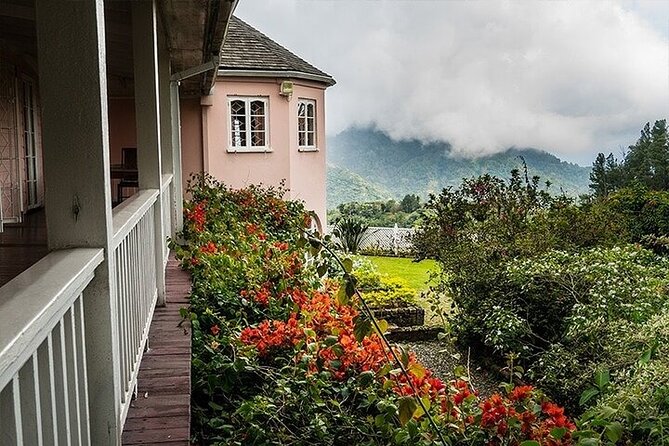 Blue Mountain Coffee, Bob Marley and Art Tour from Montego Bay - Devon House Lunch Break, Patties, and Ice Cream Time