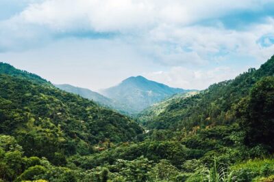 Blue Mountain Highlights
