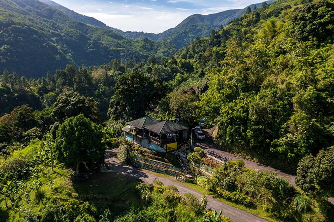 Blue Mountain Highlights - Calabash Village Picnic Lunch: Local Culture in a Casual Setting