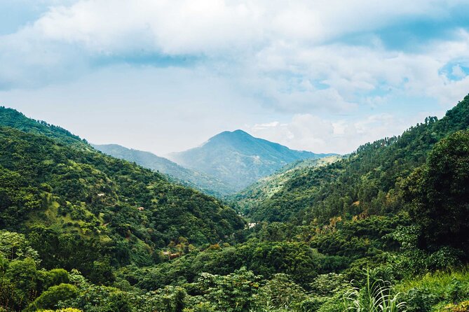 Blue Mountain Highlights - Stop 1: Blue Mountain Bicycle Tours and the Downhill Ride Setup