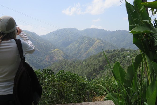Blue Mountain Path Finder - Coffee Tastings That Teach You What to Notice in a Cup