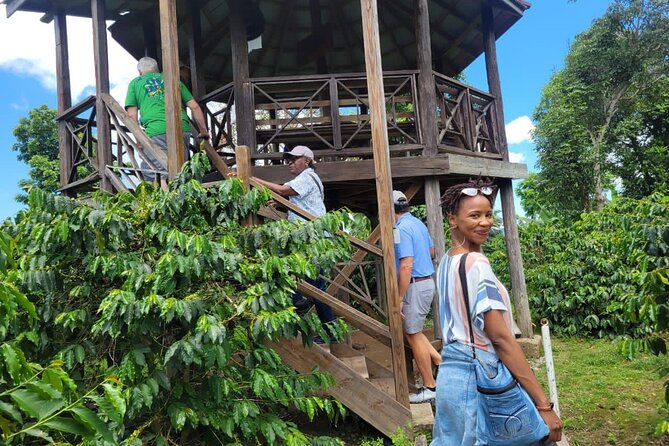 Blue Mountain Path Finder - The Small-Group Advantage: Personal Attention Without the Big-Tour Feel