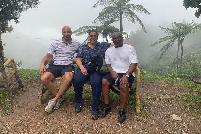 Blue Mountain Peek, and Site Seeing - Why Holywell Park and Blue Mountain Coffee Fit a 4-Hour Day