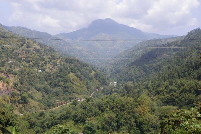 Blue Mountain Tour with Hotel Transportation - Key highlights worth your attention