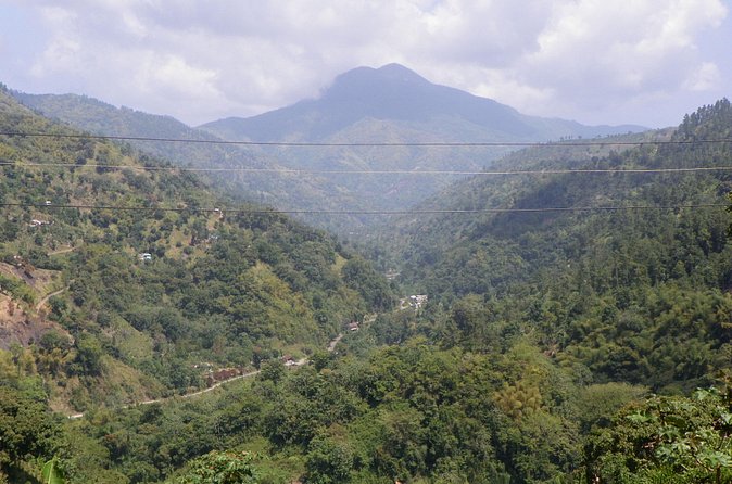Blue Mountain Tour with Hotel Transportation - Price and Value: Is $175 Worth It?
