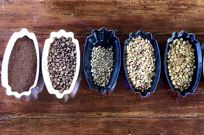 Blue Mountains Coffee Private Tour from Kingston - Key highlights to pay attention to