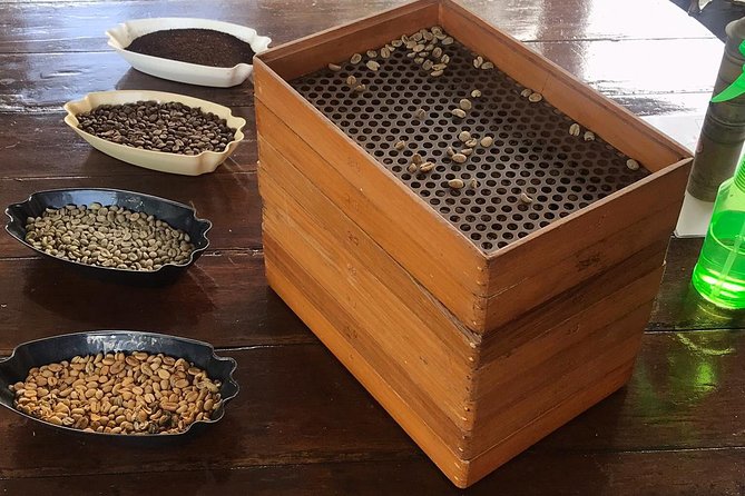 Blue Mountains Coffee Private Tour from Kingston - 9:30 am pickup and the ride that actually teaches you