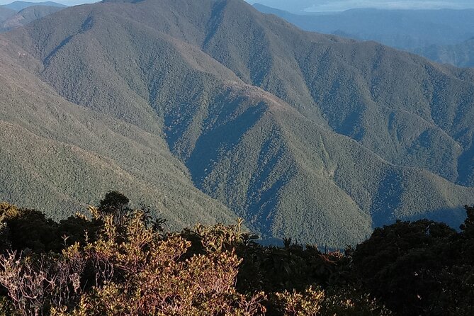 Blue Mountains Peak Hike - Who should book this hike, and who might think twice