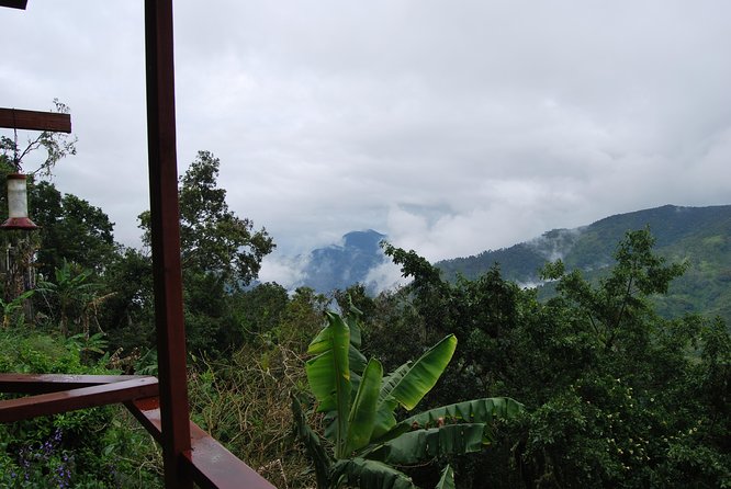Blue Mountains Peak Hike - Should you book the Blue Mountains Peak Hike?