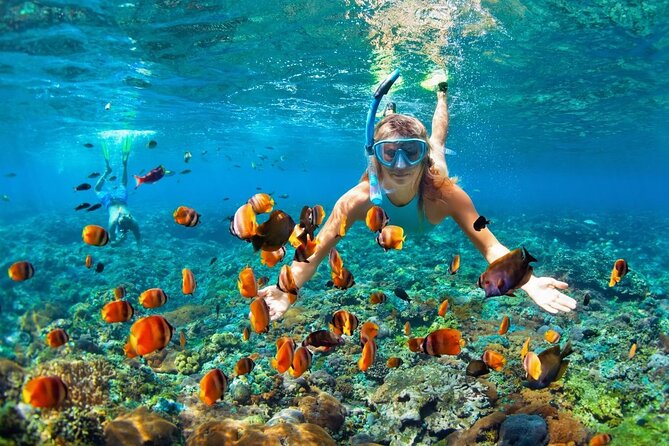 Boatride & Snorkeling then Margaritaville Hipstrip Activity - Key highlights you can count on