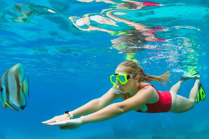 Boatride & Snorkeling then Margaritaville Hipstrip Activity - A half-day rhythm that actually works in Montego Bay