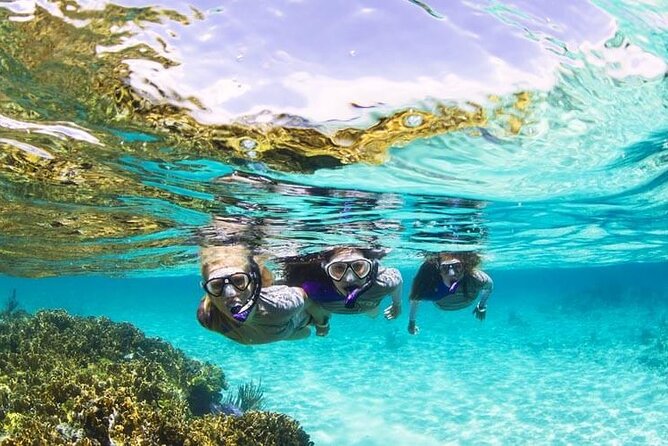 Boatride & Snorkeling then Margaritaville Hipstrip Activity - Snorkeling gear, reef time, and what you are likely to see