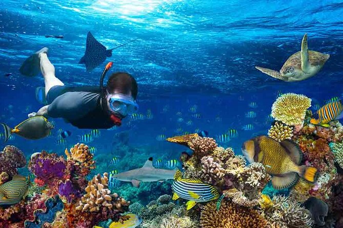 Boatride & Snorkeling then Margaritaville Hipstrip Activity - How $40 stacks up for what you get