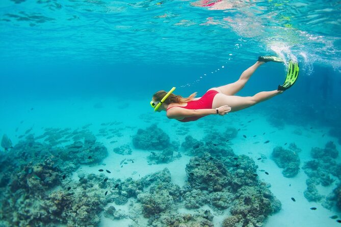 Boatride & Snorkeling then Margaritaville Hipstrip Activity - Who this tour fits best (and who might want a different style)