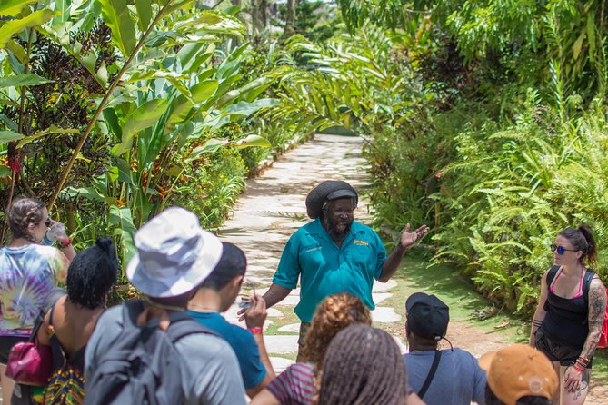 Bob Marley 9 Mile Tour Admission - Timing it right: hours, weather, and planning for closings