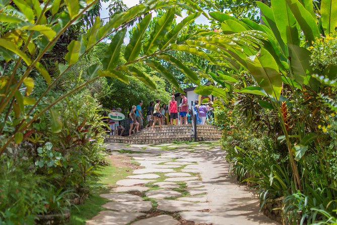 Bob Marley 9 Mile Tour Admission - Food, music, and souvenirs you can plan for