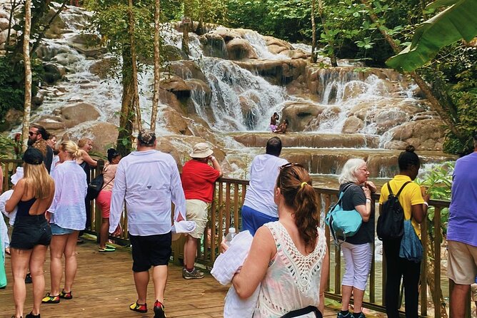 Bob Marley Nine Mile and Dunns River Combo from Ocho Rios - Guides and drivers: why names keep coming up for this day