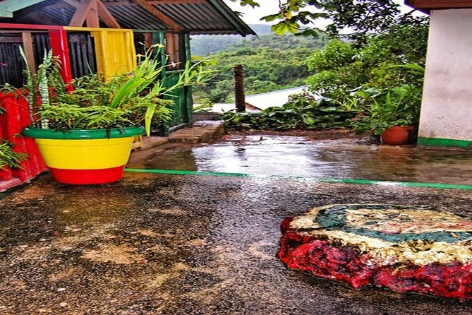 Bob Marley Nine Mile Tour - From Montego Bay - Planning tips for a smooth day in Nine Mile country