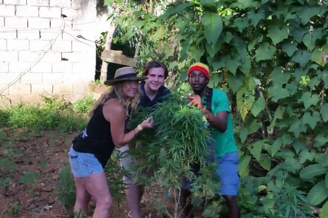 Bob Marley's Nine Mile & Dunns River Falls Tour: Transportation & Ticket - Dunn’s River Falls: the classic climb, paced for your group