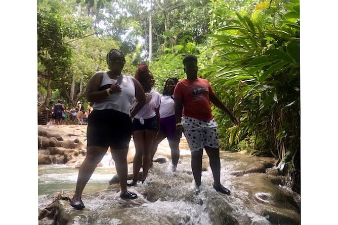 Bob Marley's Nine Mile & Dunns River Falls Tour: Transportation & Ticket - Price and value: is $205 per person actually a good deal?