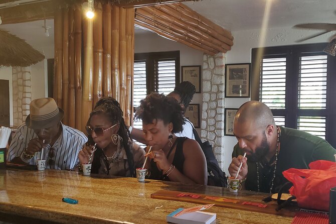 Bob Marley's Spirit of Reggae - The Nine Mile Experience - Who should book this tour, and who should look elsewhere