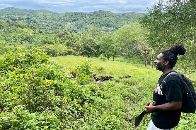 Bush Hiking to explore Wild Plants & Fresh Fruits,Montego Bay - Fresh fruit and coconut water: why this tour sticks in your memory