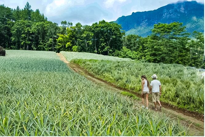 Bush Hiking to explore Wild Plants & Fresh Fruits,Montego Bay - Price and value: is $160 actually fair for this kind of outing?