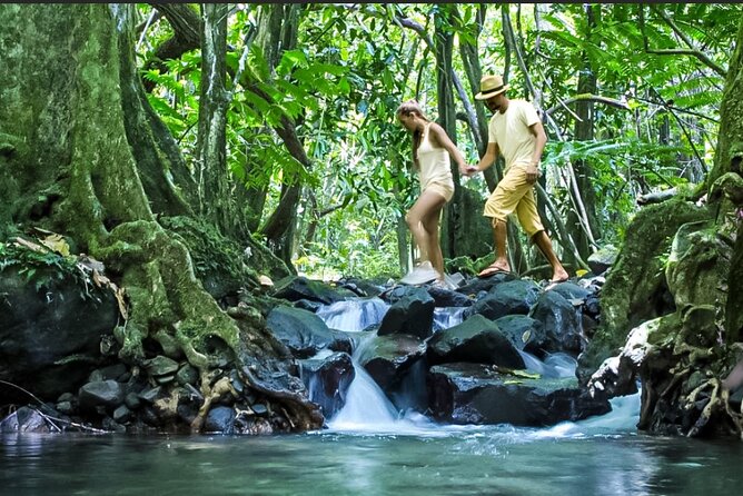 Bush Hiking to explore Wild Plants & Fresh Fruits,Montego Bay - Small “know before you go” notes