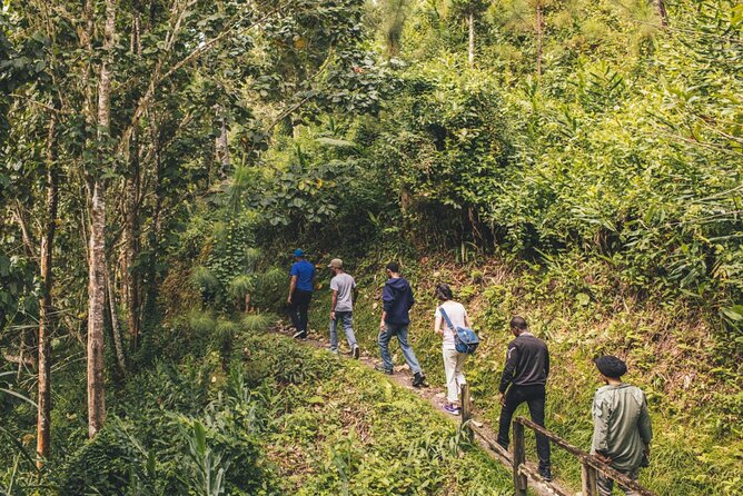Bush Hiking to explore Wild Plants & Fresh Fruits,Montego Bay - Getting there fast: the bamboo raft drop-off and the 2-hour timeline