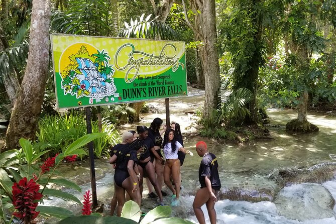 Chuck Norris Secret Falls and Dunn's River Falls - Secret Falls at Chuck Norris: rope swings, cliff jumps, and jungle time