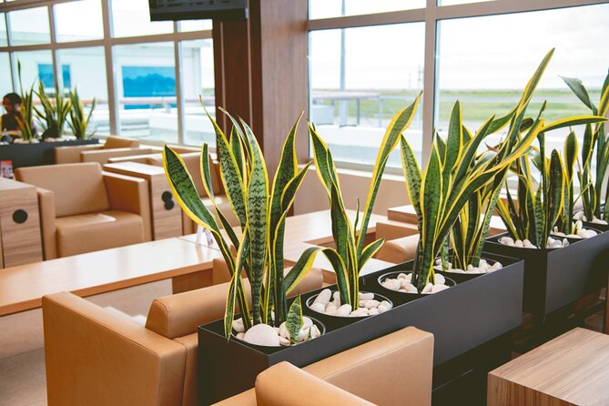 Club Mobay Sangster Airport VIP Lounge with Priority Entry - Photo Booth Moments and Other Extras That Cost More
